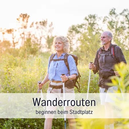 Marie Antoinette, Blick Auf Den Stadtplatz, Traunseeblick - Ideal Fuer Paare Und Kulturinteressierte